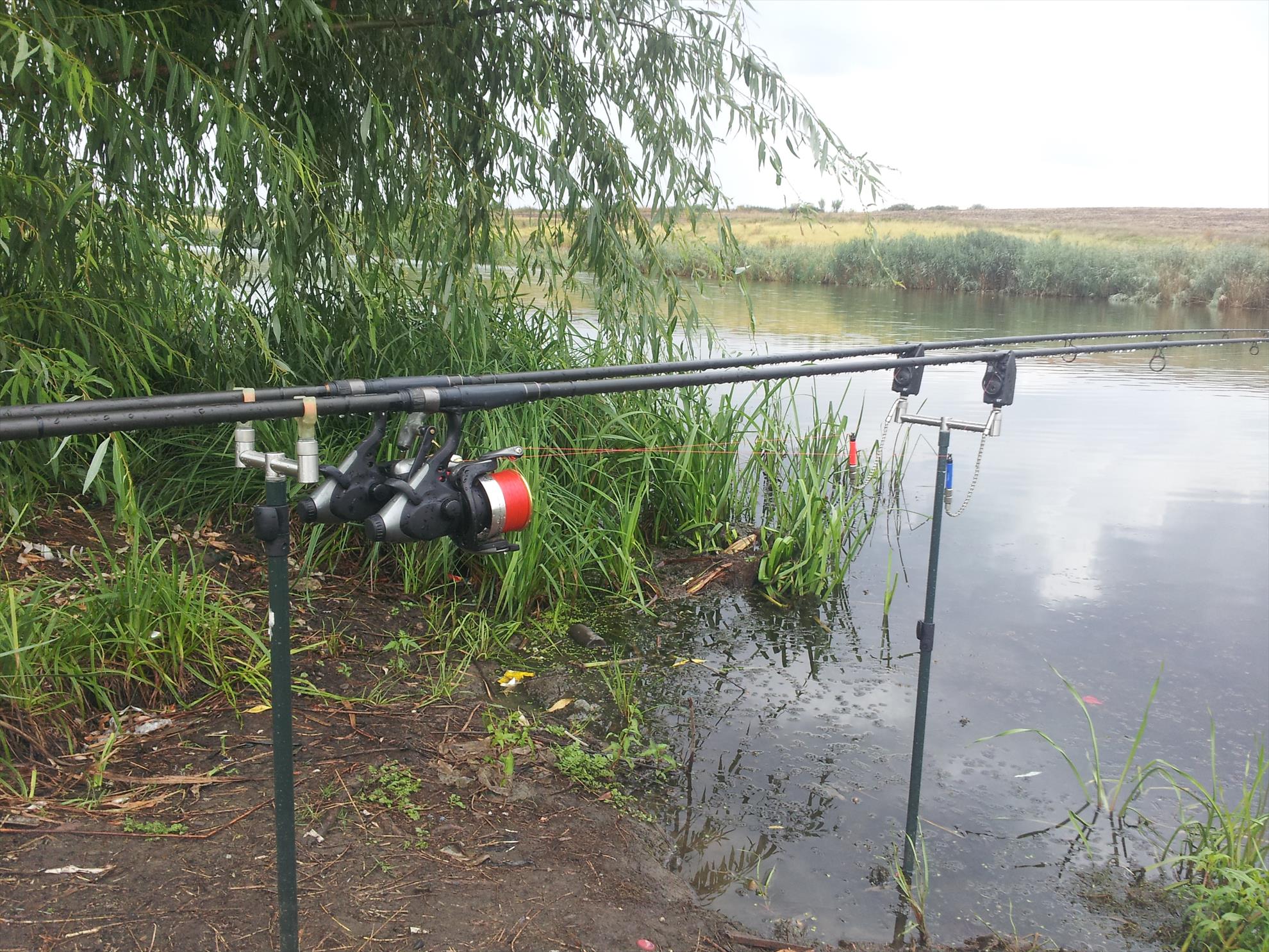 Walter Maracinenu - 20130831142529.jpg